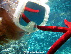 Reflexion.
Nikon coolpix 5000+Sea%Sea housing. Natural l... by Alberto Romeo 
